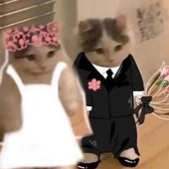 Meet your Posher, Lizzie - Picture 1 of 1